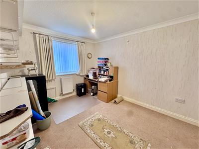 Picture 15